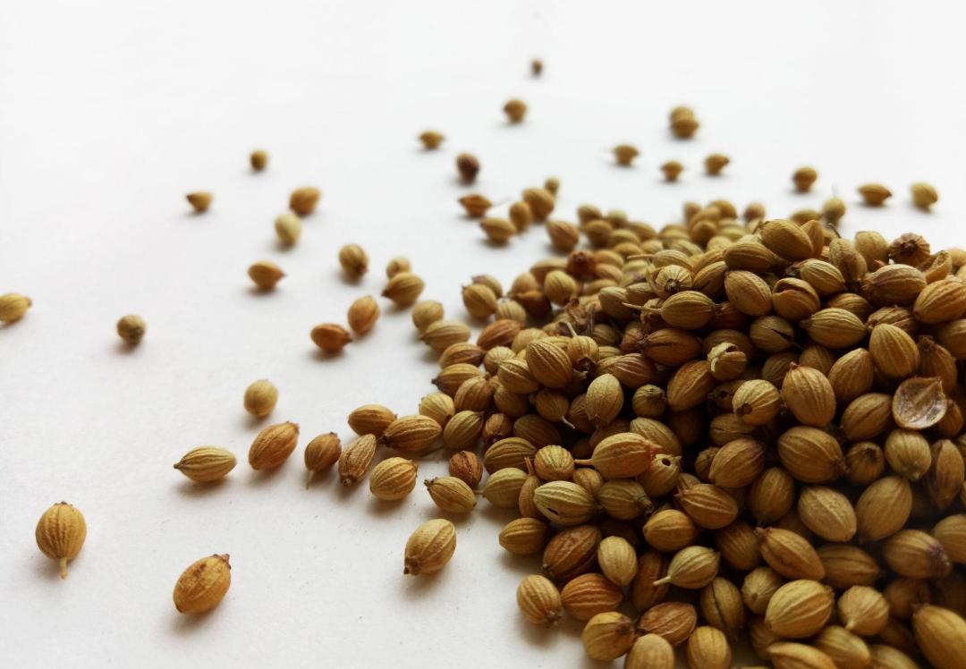Coriander Seeds (Dhana)