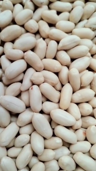 Roasted Whole Blanched